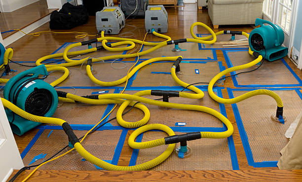 Professional Structural Drying And Dehumidification technician working in Albion, NE